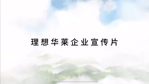 中国海南国际贸易单一窗口登录
